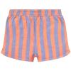 Reine Shorts -Tumble 'n Dry