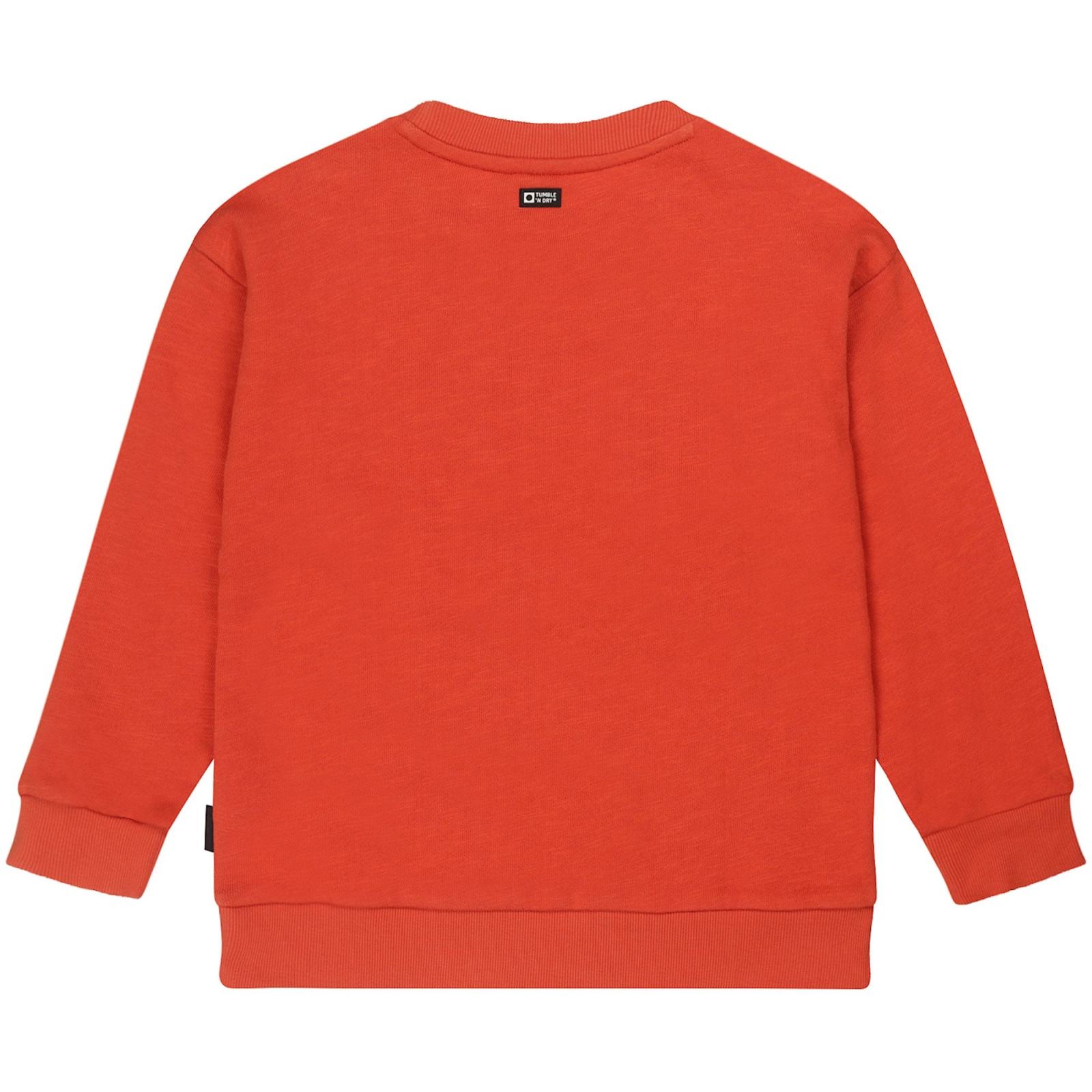 Arctic Sweatshirt -Tumble 'n Dry