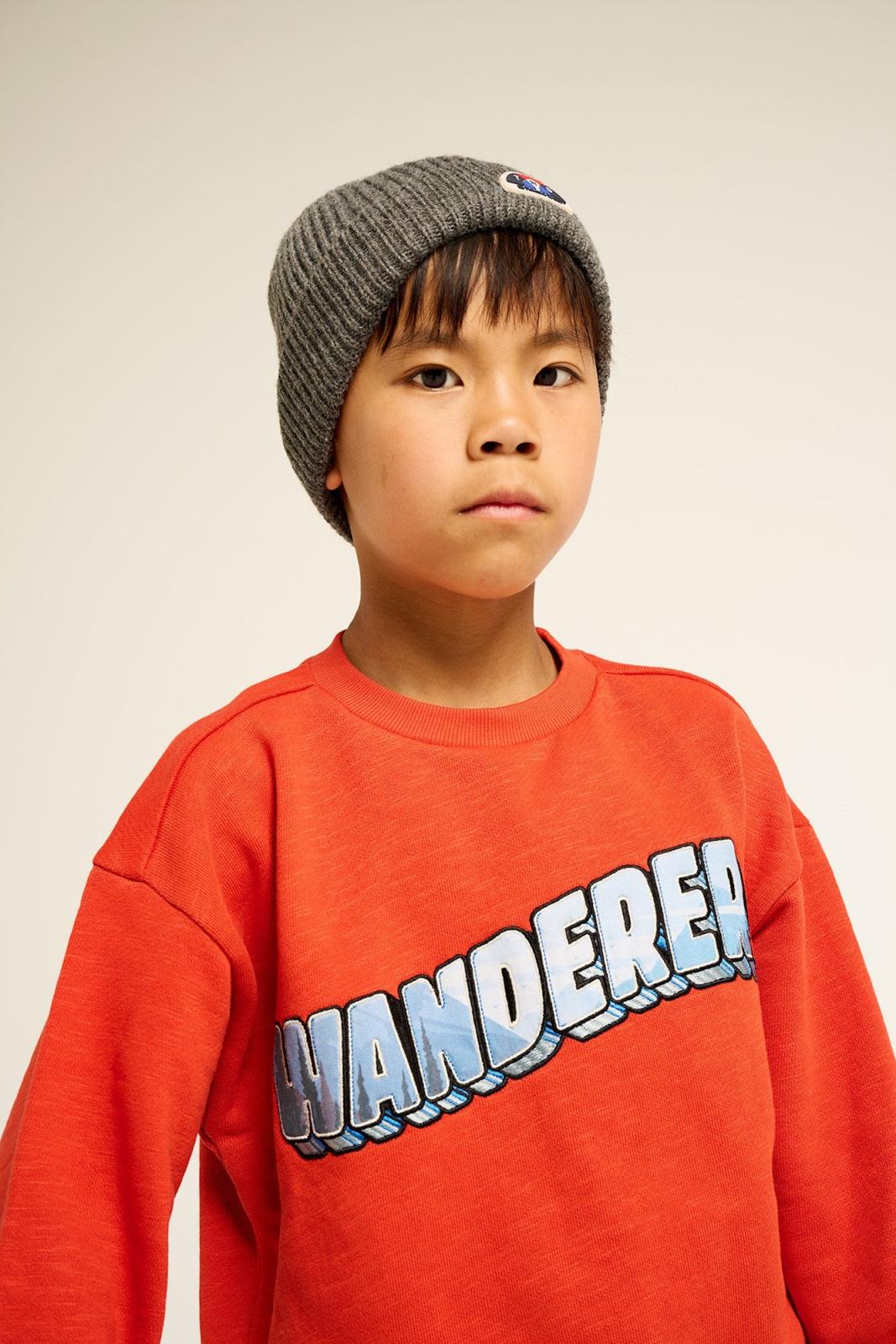 Arctic Sweatshirt -Tumble 'n Dry