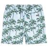 Melanesia Shorts -Tumble 'n Dry