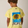 Reef T-Shirt -Tumble 'n Dry