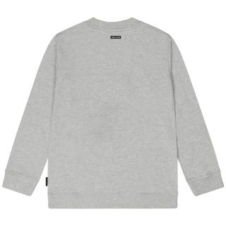 Champion Sweatshirt -Tumble 'n Dry