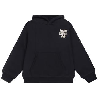 Plymouth Hoodie -Tumble 'n Dry