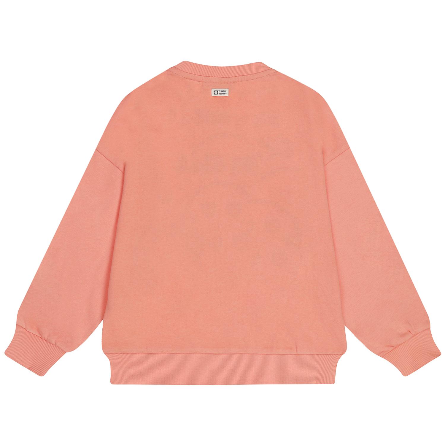 Elianne Sweatshirt -Tumble 'n Dry